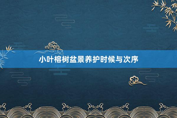 小叶榕树盆景养护时候与次序